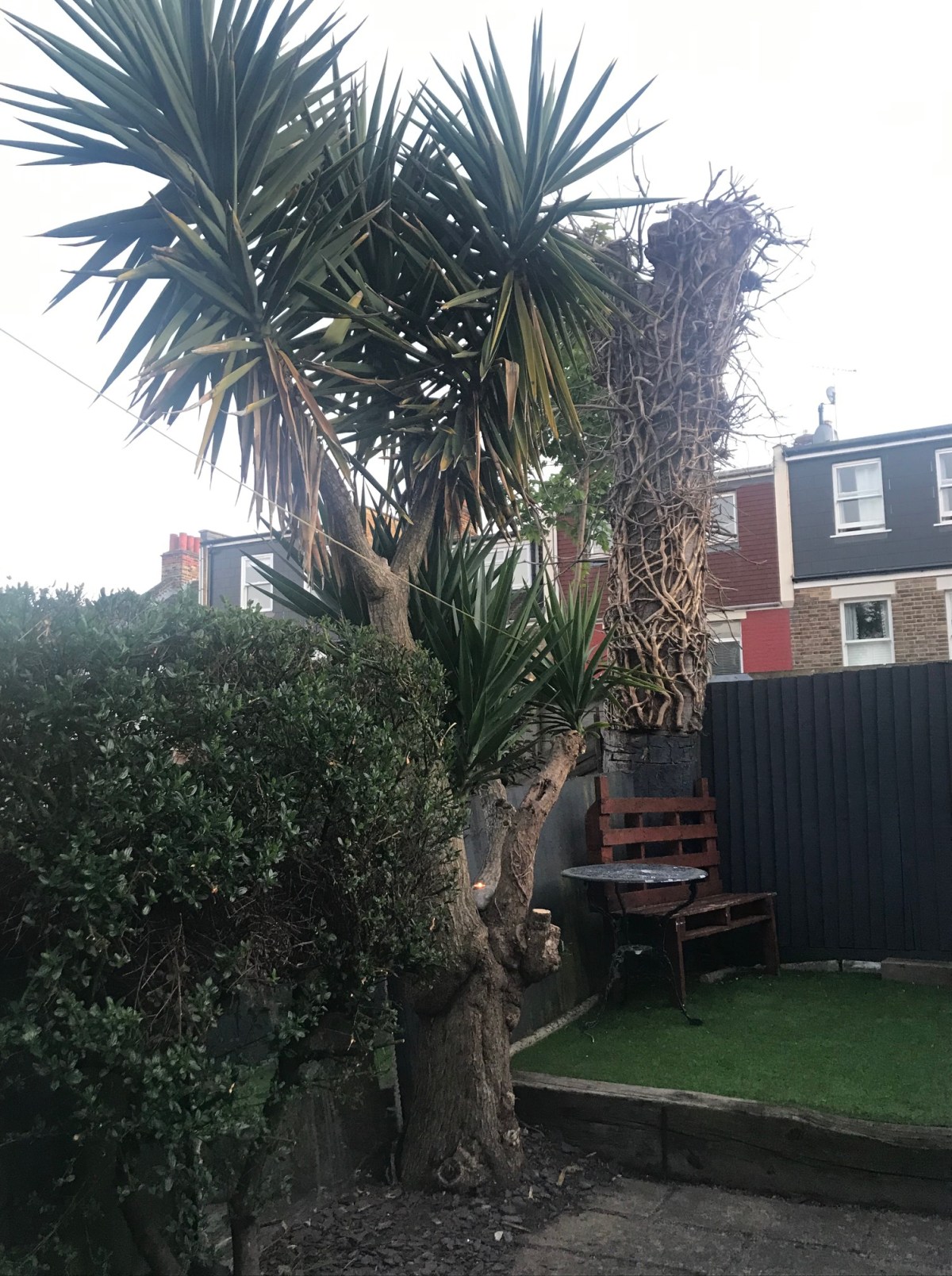 Summer garden and cocktail&nbsp;fun!